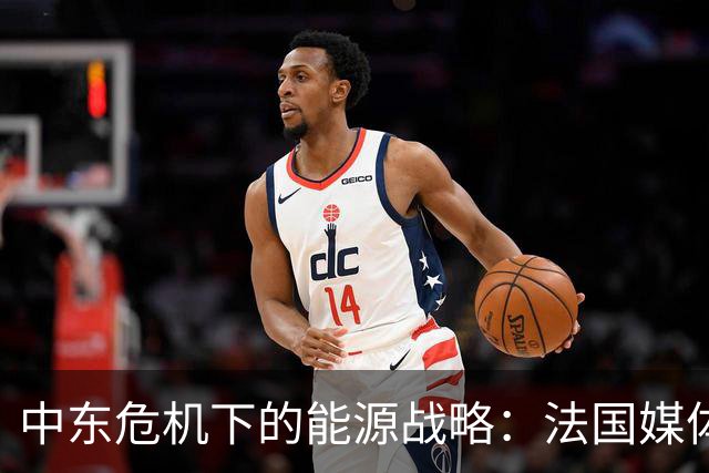 中东危机下的能源战略：法国媒体对中国定位的反思